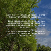 日本紙通商株式会社 エコボーガスペーパー 幅400mm×400m巻 1巻 BGP202112