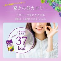 森永乳業 鉄分プラス 1日分の鉄分 プルーン＋グレープ 200ml 1箱（24本入）紙パック　 飲料 サプリメントドリンク