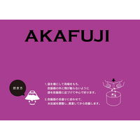 神明 あかふじ 今日のごはん 小分け鮮度パック 北海道産ゆめぴりか 無洗米（1合×10） 1袋 米 お米