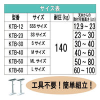 アイリスオーヤマ 家具転倒防止伸縮棒 I型 L 高さ600～1000mm KTB-60（248251） 1セット（2本入）（わけあり品）