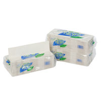 春日製紙工業 ニューズペーパータオルエコノミー(小判サイズ)200枚 520014 1セット(40パック)