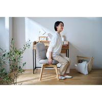 アイリスオーヤマ 折りたたみ回転チェア ライトグレー 1脚（直送品）