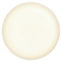 アイリスオーヤマ LED小型シーリングライト 薄形タイプ 2000lm 電球色 SCL20L-U2 1個（直送品）