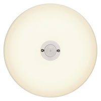 アイリスオーヤマ 小型シーリングライト 薄形 600lm 電球色 人感 SCL6L-MS-U2 1個（直送品）