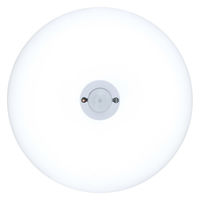 アイリスオーヤマ 小型シーリングライト 薄形 600lm 昼光色 人感 SCL6D-MS-U2 1個（直送品）