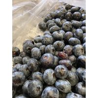 【アウトレット】東亜酒造 蔵出し まろやかブルーベリー酒 1000ml 1本