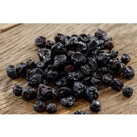 有機素材 ドライフルーツ チャック付 小袋 BIONOWA オーガニック ドライブルーベリー 1セット（1個×5）