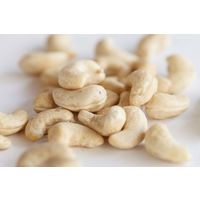 有機素材 ナッツ チャック付 小袋 BIONOWA オーガニック 生カシューナッツ 1セット（1個×3）