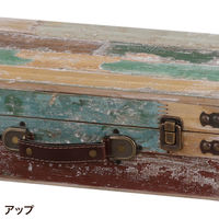 Habiter(アビテ) トランクボックス S ANE-601-AA 1個（直送品）