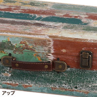 Habiter(アビテ) トランクボックス L ANE-602-AA 1個（直送品）