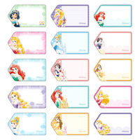 サンスター文具 タグに貼れるなまえシール/DC ディズニープリンセス 2342429A 1セット(1枚×10)（直送品）