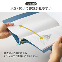 リヒトラブ Mutual ルーパーレターファイル 2穴 100枚収容可能 A4 ディープグリーン F2106-7 1冊（直送品）