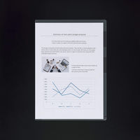 ライオン事務器 PPカラーホルダー CF-6N-10P ピンク(P) 13550 1パック（直送品）