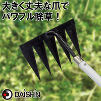 大進 草取りレーキ龍の爪 草刈り 草削り 道具 草取り 立ったまま DG-01R6 1本（直送品）