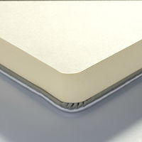 ターレンスジャパン ターレンス アートクリエーションTACスケッチブック シャイニーシルバー 21X30 485375 1個（直送品）