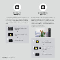 ニコン ミラーレス一眼 Z5II 24-105 レンズキット Z5 2LK24-105 1個 Z52LK24-105（直送品）