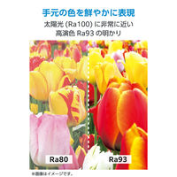 モニターライト 掛け式 45cm 反射を抑える 高演色Ra93 明るさ10段階 DEWML03BK エレコム 1個（直送品）