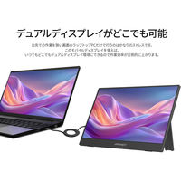 JAPANNEXT 13.3インチ ワイド モバイルディスプレイ JN-MD-IPS133F 1台（直送品）