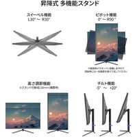 JAPANNEXT 31.5インチ ワイド4K液晶ディスプレイ JN-IPS315U-HSPC6 1台（直送品）