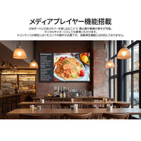 JAPANNEXT 【設置込み】43インチワイド4K液晶モニター 純正スタンドセット JN-HDR432IPSUMJRF-KUMI 1台（直送品）