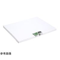 ハクバ写真産業 モクセイガク ブラック A3 FW-4-BKA3 1個 68-5236-34（直送品）