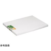 ハクバ写真産業 モクセイガク ナチュラル W4 FW-4-NTW4 1個 68-5236-16（直送品）