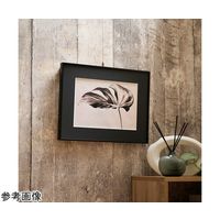 ハクバ写真産業 アルミガク ブラック A4 HFA-03-A4 1個 68-5236-06（直送品）