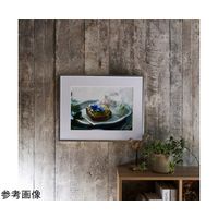 ハクバ写真産業 アルミガク シルバー ハンセツ HFA-03SV-H 1個 68-5236-04（直送品）