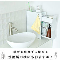 大河商事 Pitally スリム調味料ストッカー 2段式 幅10cm コンロ横収納 Pitally002 1台（直送品）