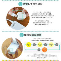 大河商事 充電式3WAYミニライト クリップ 懐中電灯 LED調光 グリーン wasser35 1台（直送品）