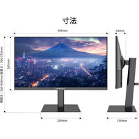 JAPANNEXT 21.5インチ 液晶ディスプレイ JN-215IPS120F-HSP 1台（直送品）