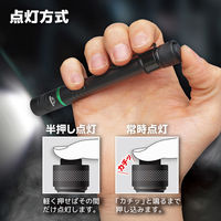 (株)エンジニア LEDフラッシュライト SL-92 1個（直送品）