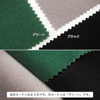 【軒先渡し】マッチングジャパン カーテン市場 音漏れ防ぐ効果、吸音カーテン 1650×810mm グリーン 1枚（直送品）