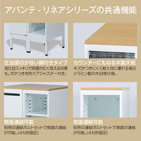 【軒先渡し】ナカバヤシ アバンテ・リネア フロアストレージ 深9段 幅277×奥行400×高さ1070mm ブラック 1台（直送品）