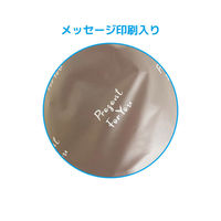 エスパック フロストリボン付ギフトバッグFORYOU S 20枚入 ブラウン FH-SB-AS 1袋(20枚入)（直送品）