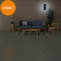 大進 ムシコロ 電撃殺虫器 DS-056LED 1台（直送品）