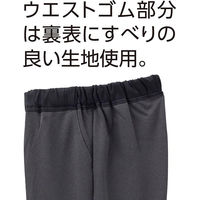 ケアファッション おしりスルッとさらさらカチオンライトパンツ グレー 4L W0182089616 1着（直送品）
