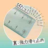 共栄プラスチック そら色じょうぎ 17cm SO-17-05 1本（直送品）