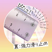共栄プラスチック そら色じょうぎ 17cm SO-17-03 1本（直送品）