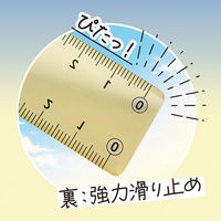 共栄プラスチック そら色じょうぎ 17cm SO-17-02 1本（直送品）
