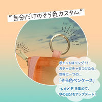 共栄プラスチック そら色ペンケース SO-P-05 1個（直送品）