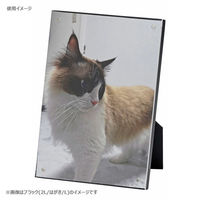 エツミ マグネットフォトフレーム 2L/はがき/L VE-5604 1枚（直送品）