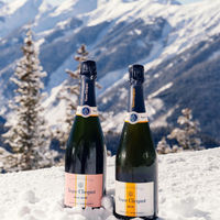 ヴーヴ クリコ リッチオンアイス ロゼ  750ml　2本　ギフトカード　スタンダード封筒／熨斗（御礼）（直送品）