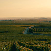 ヴーヴ クリコ ブリュット ヴィンテージ 2015 750ml(2本箱入り)　ギフトカード　二重封筒（直送品）