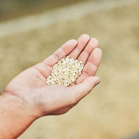 玉乃光酒造 純米大吟醸 玉乃光 Black Label 1800ml　ギフトカード　二重封筒／熨斗（御礼）（直送品）