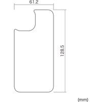 サンワサプライ Apple iPhone 13 mini用背面保護指紋防止光沢フィルム PDA-FIPH21MBS 1枚（直送品）