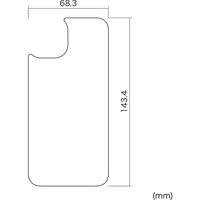 サンワサプライ Apple iPhone 13用背面保護指紋防止光沢フィルム PDA-FIPH21PBS 1枚（直送品）