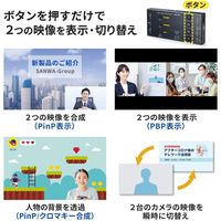 サンワサプライ HDMIキャプチャー(2入力・スイッチャー付き) USB-CVHDUVC5 1個（直送品）