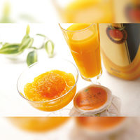 【手土産やお祝いの贈り物に】 「銀座千疋屋」 マンゴードリンク＆まるごとみかんぜりぃ ギフトカード　二重封筒　熨斗（御祝）（直送品）