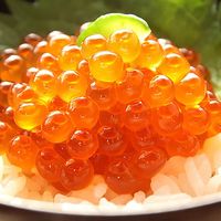 【手土産やお祝いの贈り物に】 北海道　知床羅臼産 いくら醤油漬け (計150g) ギフトカード　二重封筒　熨斗（御祝）（直送品）